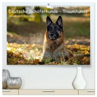 Deutsche Schäferhunde - Traumhunde (hochwertiger Premium Wandkalender 2026 DIN A2 quer), Kunstdruck in Hochglanz
