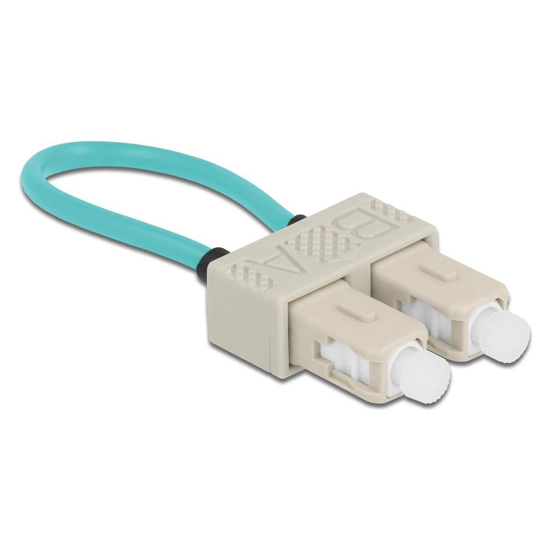 Delock Netzwerkkabel (86923)