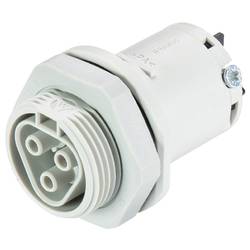 Wieland Electric 96.031.5053.0 Geräteanschluss