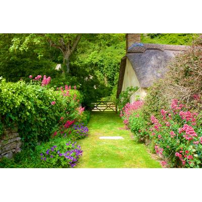 Fototapete PAPERMOON "GARTEN-BLUMEN BÄUME PFLANZEN STEINE WALD PERGOLA BLÜTEN", bunt, B:5m L:2,8m, Vlies, Tapeten