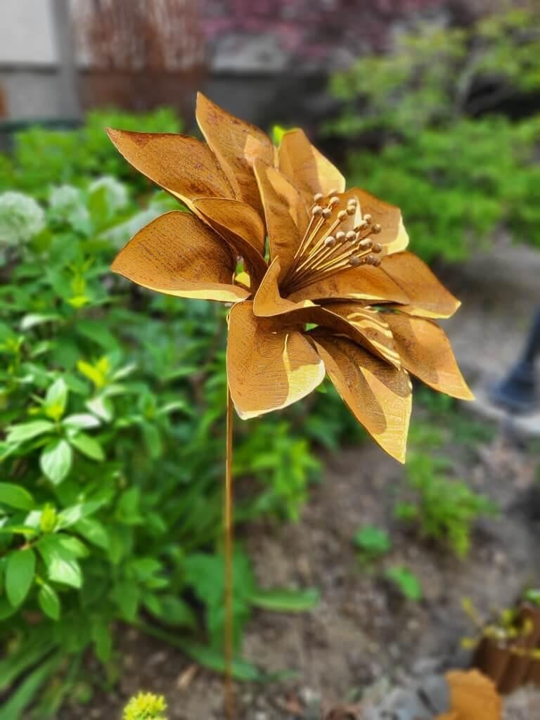Edelrost Blume Jeanette klein