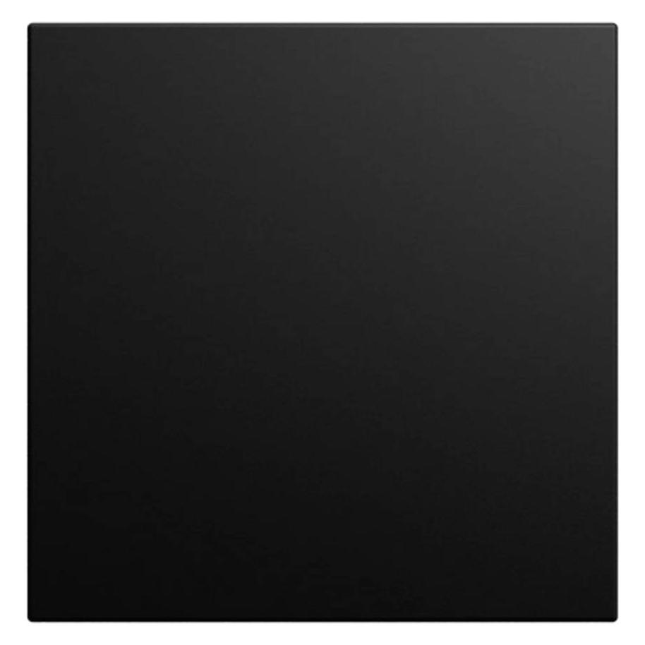 Busch-Jaeger Abdeckung (2CKA006199A0539)