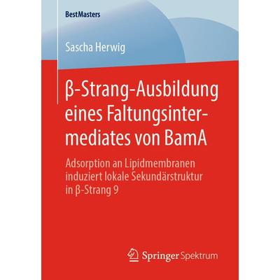 β-Strang-Ausbildung eines Faltungsintermediates von BamA, Taschenbuch von Sascha Herwig, Springer Fachmedien Wiesbaden GmbH, 978-3-658-29028-3