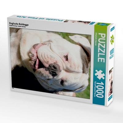 CALVENDO Puzzle Englische Bulldogge | 1000 Teile Lege-Größe 64x48cm Foto-Puzzle für glückliche Stunden