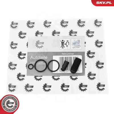 ESEN SKV Reparatursatz, Pumpe-Düse-Einheit 53skv198 für CUPRA