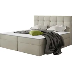 BOXBETT Nele - H3
