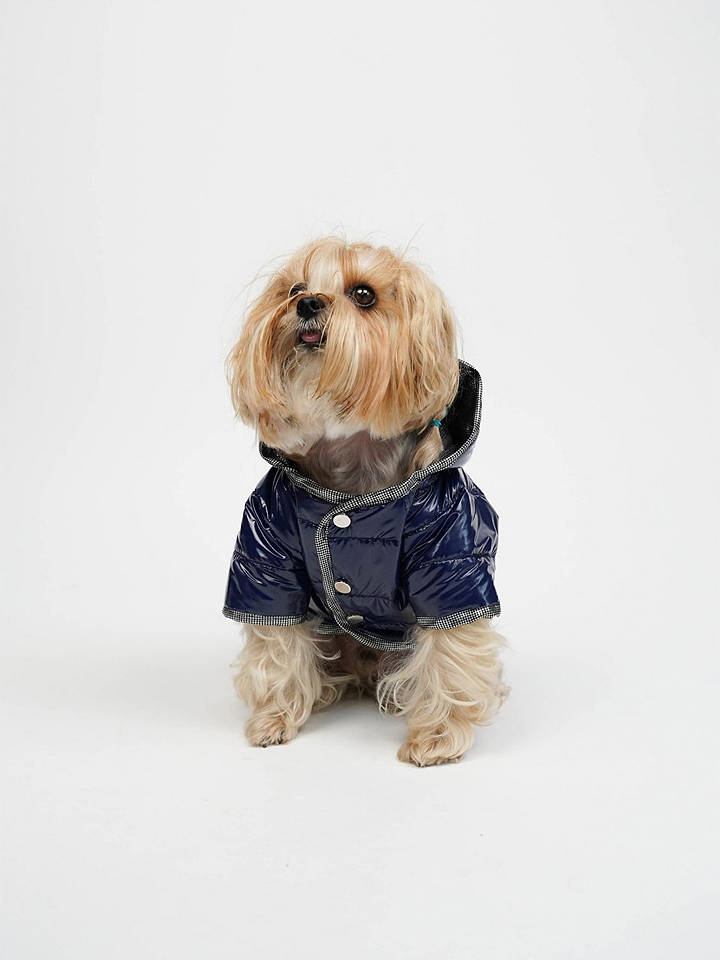 Paws&Whiskers Hundehoodie in Dunkelblau - L