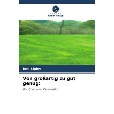 Von großartig zu gut genug:, Taschenbuch von Joel Bigley, Verlag Unser Wissen, 978-620-4-94949-9