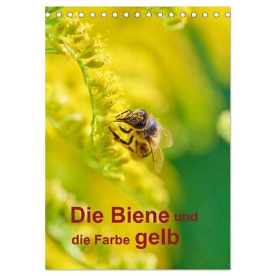 Die Biene und die Farbe gelb (Tischkalender 2026 DIN A5 hoch), CALVENDO Monatskalender