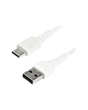 StarTech.com Cable White USB 2.0 to C 2m 6.6 A C High Quality Data Transfer & Charge Male Aramid Fiber RUSB2AC2MW (RUSB2AC2MW)