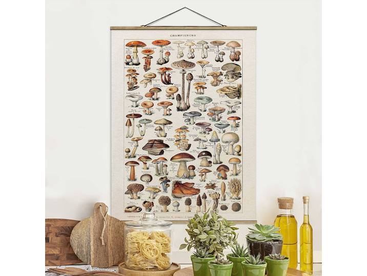 Tableau déco Vintage Vintage Champignon Tissu Beige 35 x 47cm
