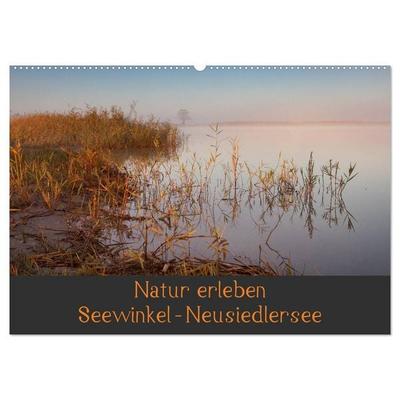 Natur erleben Seewinkel-Neusiedlersee (Wandkalender 2026 DIN A2 quer), CALVENDO Monatskalender