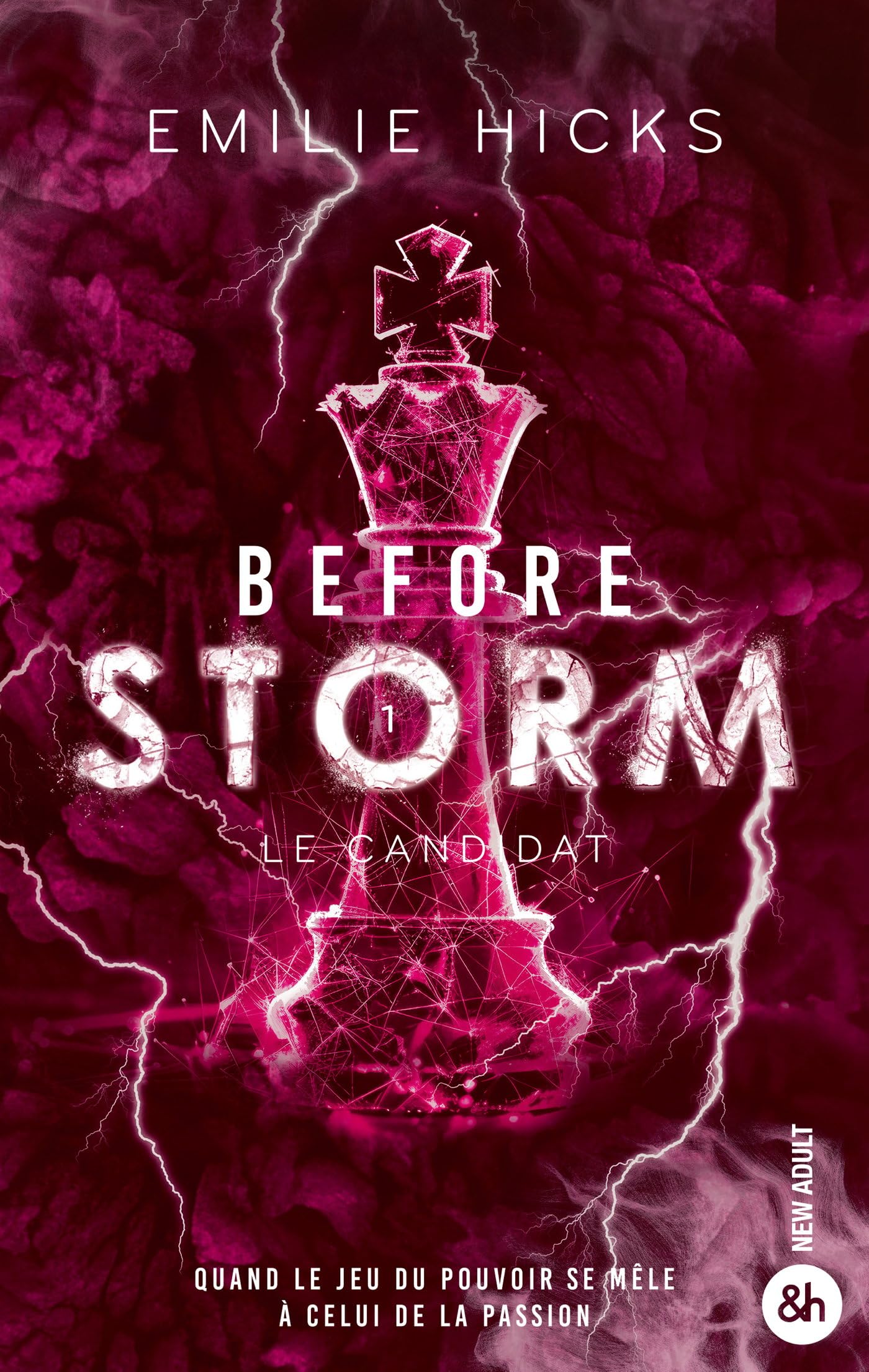 Emilie Hicks - Before Storm. Vol. 1. Le candidat - Preis vom 14.10.2026 23:07:16 h