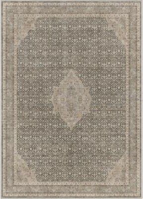 Well Woven Asha Lilith Persian Oriental Vintage Area Rug
