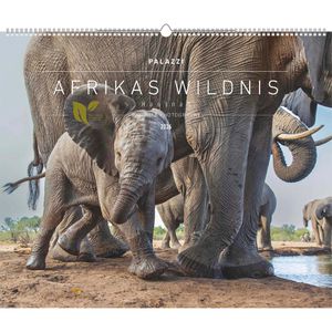 Palazzi Bildkalender Hautnah Afrikas Wildnis, 2026, Motiv: Tiere, Spiralkalender, 60 x 50cm