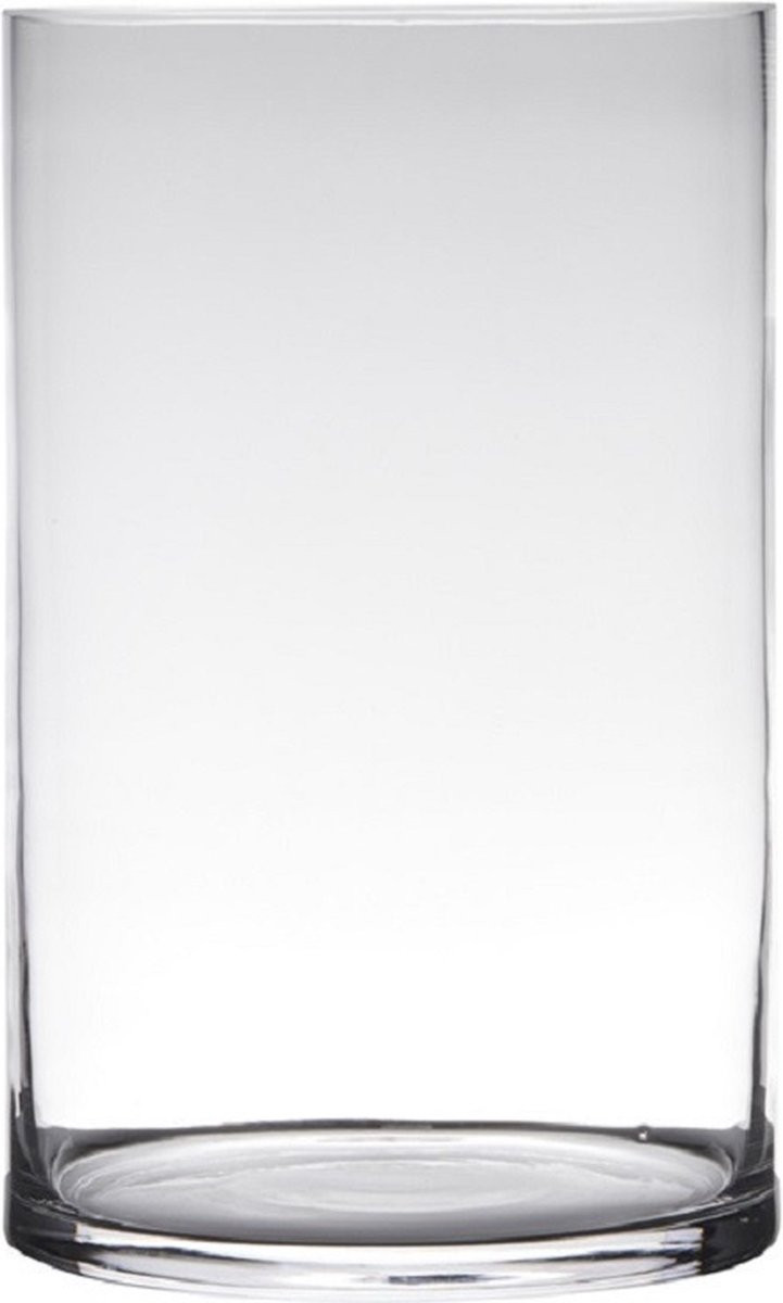 Hakbijl Glass Bloemenvaas Cilinder Transparant D19 x H40 cm