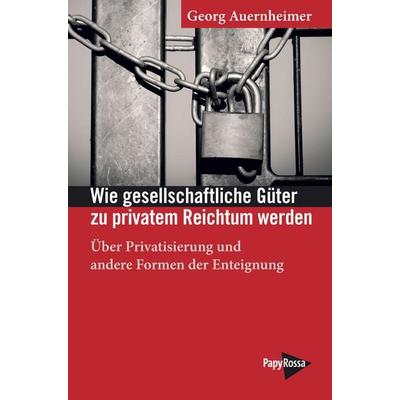 Wie gesellschaftliche Güter zu privatem Reichtum werden, Taschenbuch von Georg Auernheimer, PapyRossa Verlag, 978-3-89438-752-5