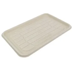 MONOUSO - Tablett Zuckerrohr 46x30cm (25 Stück)