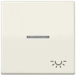 Jung Wippe Sym.LICHT/Lichtl.ws AS 591 KO5L AS591KO5L