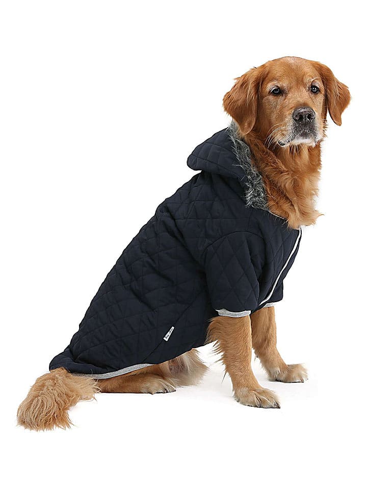 Paws&Whiskers Hundehoodie in Schwarz - 9XL