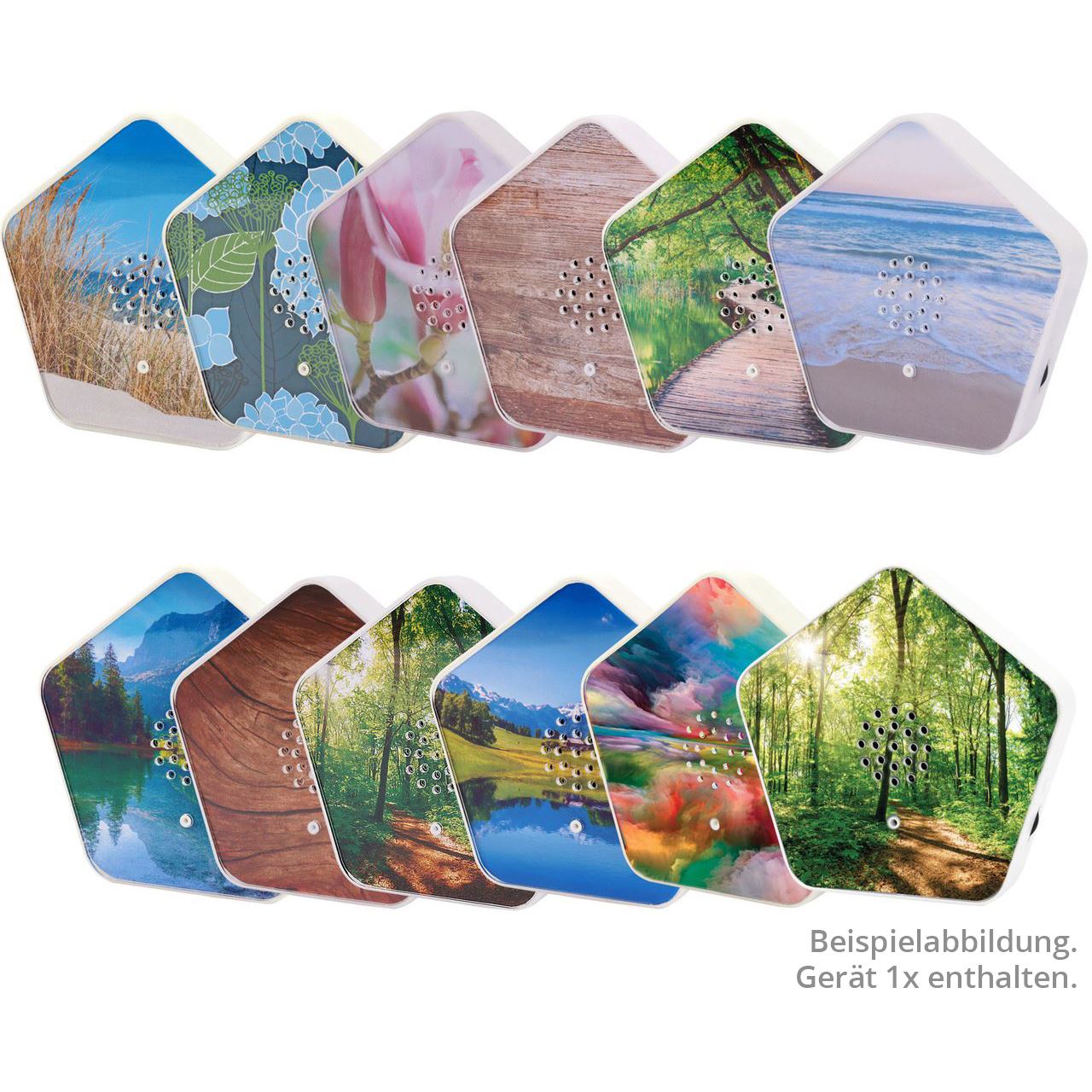 Olympia Sound of Nature Box