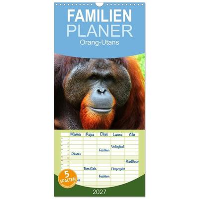 Familienplaner 2027 - Orang-Utans mit 5 Spalten (Wandkalender, 21 x 45 cm) CALVENDO