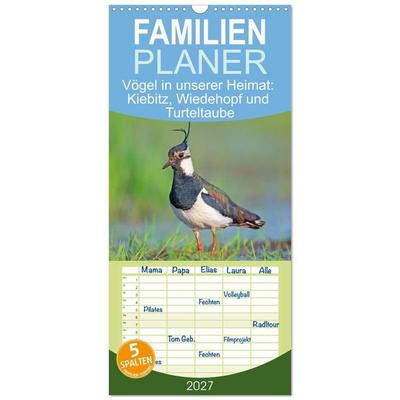 Familienplaner 2027 - Vögel in unserer Heimat: Kiebitz, Wiedehopf und Turteltaube mit 5 Spalten (Wandkalender, 21 x 45 cm) CALVENDO