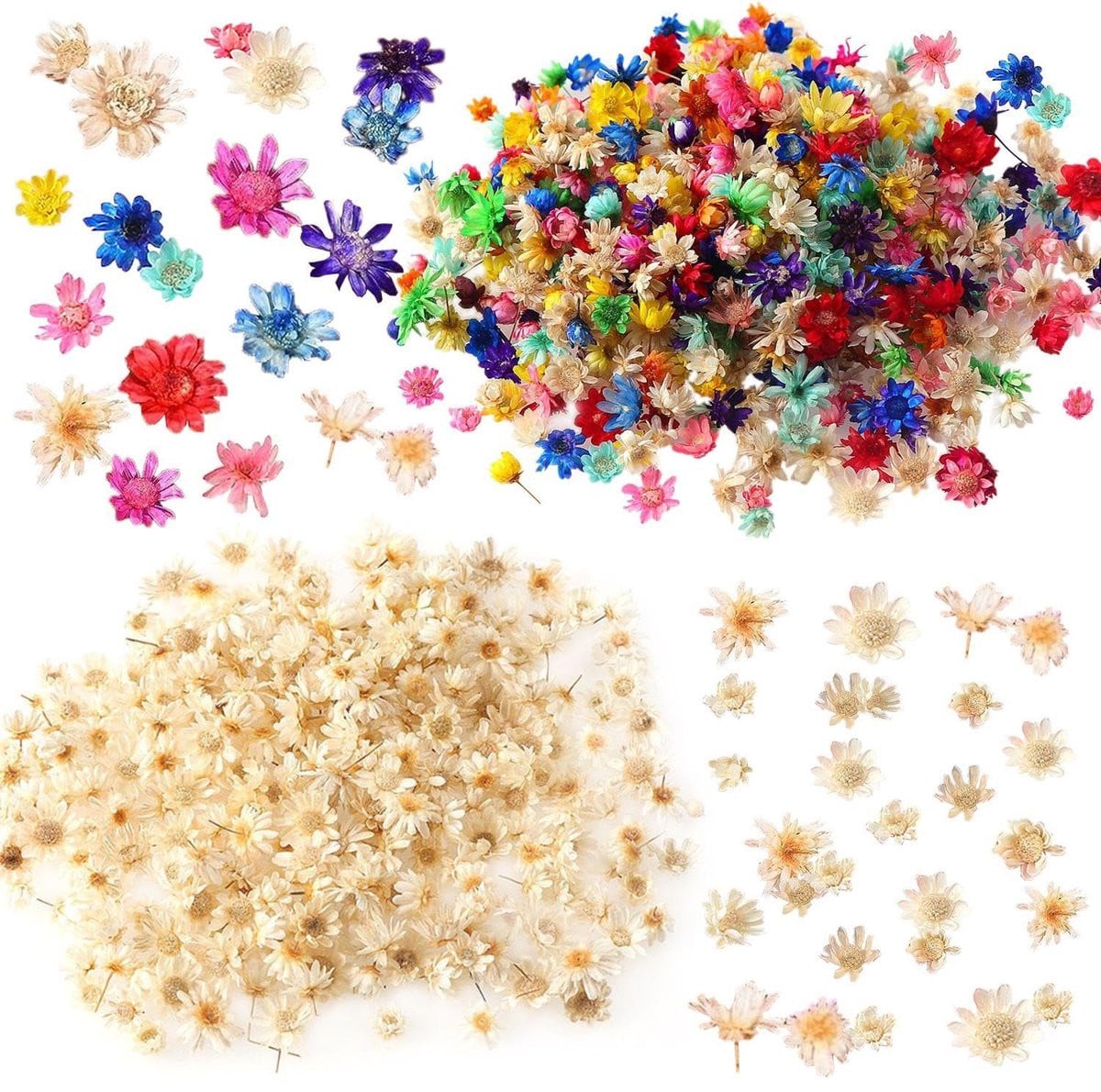 300 stuks veelkleurige gedroogde mini bloemen voor decoratie en knutselprojecten
