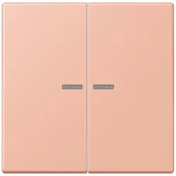 Jung Wippe mit Lichtleiter LC 102 KO5 231