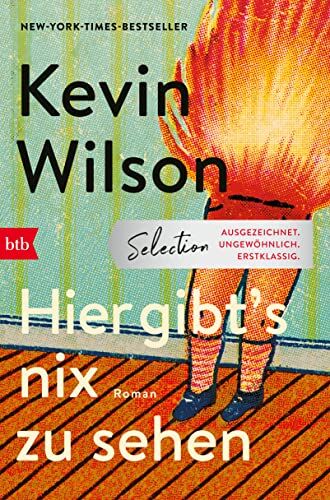 Kevin Wilson - Hier gibt’s nix zu sehen: Roman - Preis vom 12.10.2026 11:37:12 h