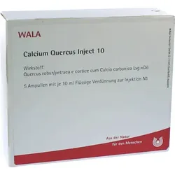 CALCIUM QUERCUS Inject 10 Ampullen 5X10 ml