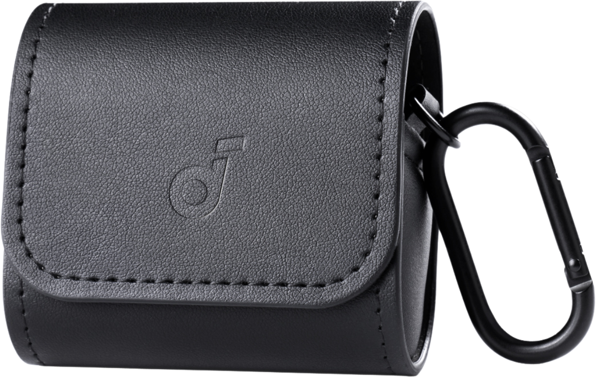 eufy Earbuds Reise-Etui Schwarz
