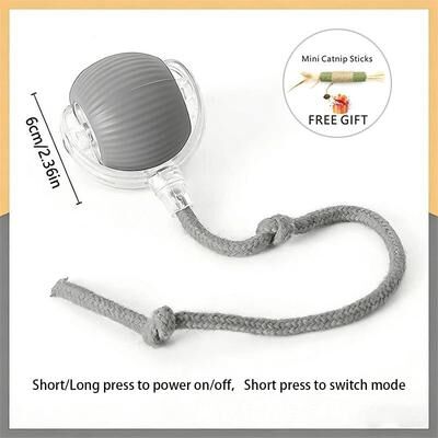 Uplifted Finds Smart Automatic Rolling Tail Ball gray Sz