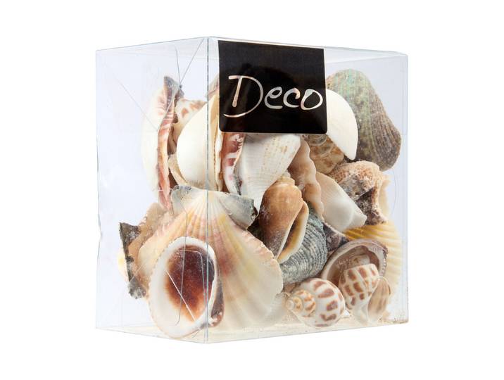 Muscheln Natur 600 ml