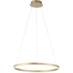 Pendelleuchte RITUS (DH 58,50x120 cm) - DH 58,50x120 cm