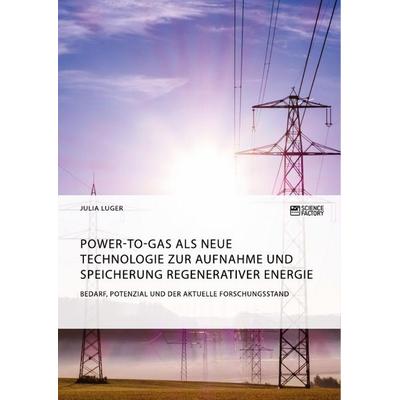 Power-to-Gas als neue Technologie zur Aufnahme und Speicherung regenerativer Energie. Bedarf, Potenzial und der aktuelle Forschungsstand, Taschenbuch