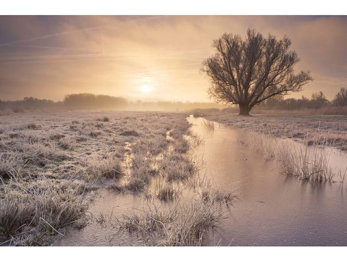 Fototapete PAPERMOON Winterlandschaft , bunt, B:3,5m L:2,6m, Vlies, Tapeten, Fototapete