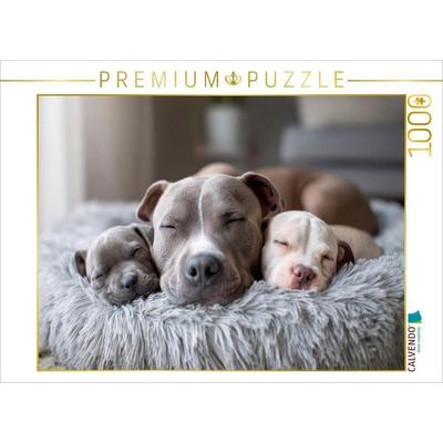 CALVENDO Puzzle Pitbull - Familienglück | 1000 Teile Lege-Größe 64 × 48 cm Foto-Puzzle für glückliche Stunden, von , Calvendo Puzzle