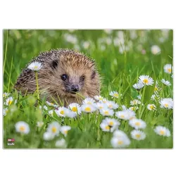 Veloflex Schreibtischunterlage »Igel«, 50x35 cm