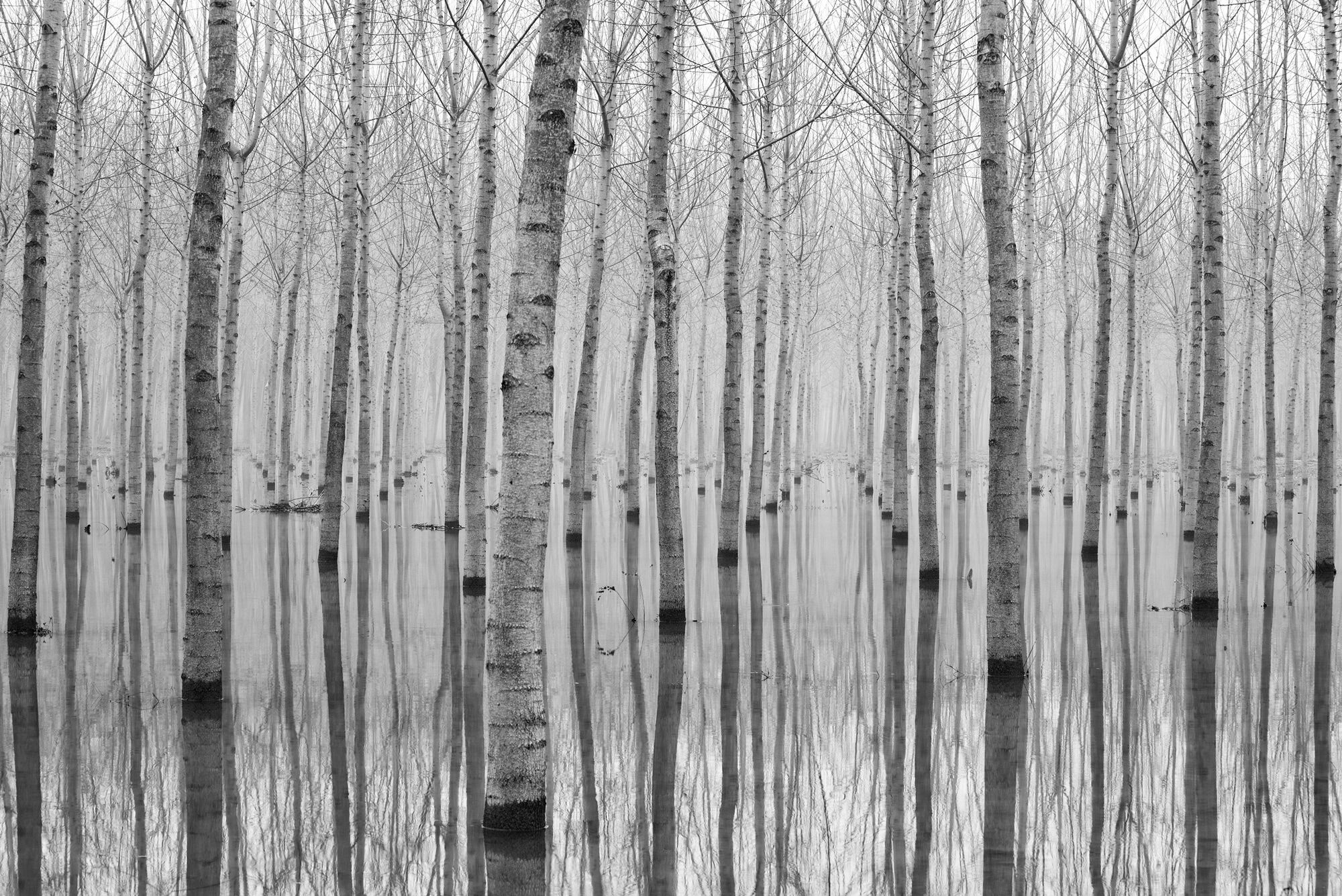 Fototapete PAPERMOON "Photo-Art AGLIONI SIMONE, NOVEMBER 2014", bunt, B:2m L:1,49m, Vlies, Tapeten, Fototapete bunt B/L: 2m x 1,49m, Bahnen: 4 Stk.