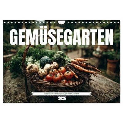 Gemüsegarten - Gemüse aus dem eigenen Garten (Wandkalender 2026 DIN A4 quer), CALVENDO Monatskalender