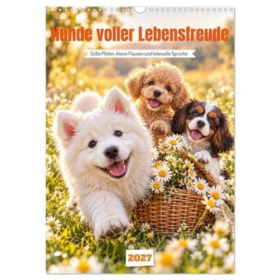Hunde voller Lebensfreude (Wandkalender 2027 DIN A3 hoch), CALVENDO Monatskalender