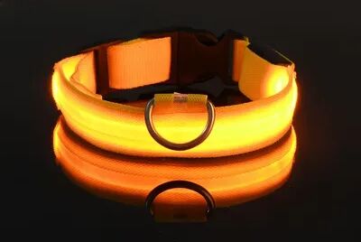 Fusion Finds LED Dog Collar For Night Safety Rechargeable Light Up Dog Collar With Flashing Glow For Small, Medium & Large Dogs yellow m
