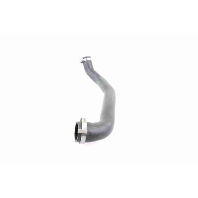 VAICO Ladeluftschlauch Q+, Erstausrüsterqualität V25-0993 für Ford