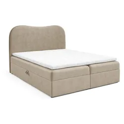 BOXBETT Darlin