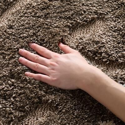 SAFAVIEH Florida Shag Nanny Floral Scroll 1.2-inch Thick Rug