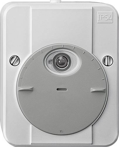 Schneider Electric 544829 Dämmerungsschalter Lichtgrau 230 V 1 Schließer