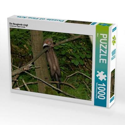 CALVENDO Puzzle Die Neugierde siegt | 1000 Teile Lege-Größe 64x48cm Foto-Puzzle für glückliche Stunden