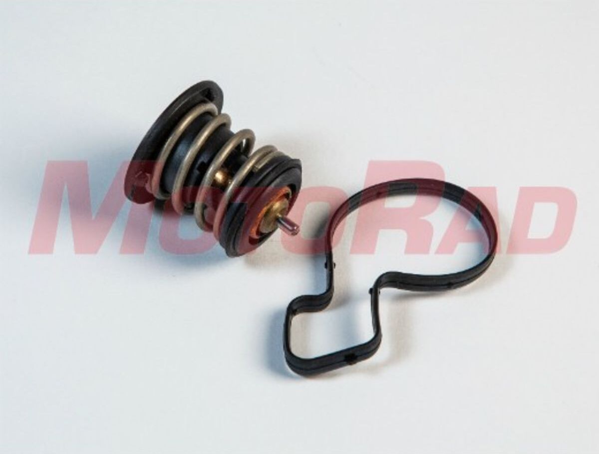Motorad Termostato, refrigerante 965-80K