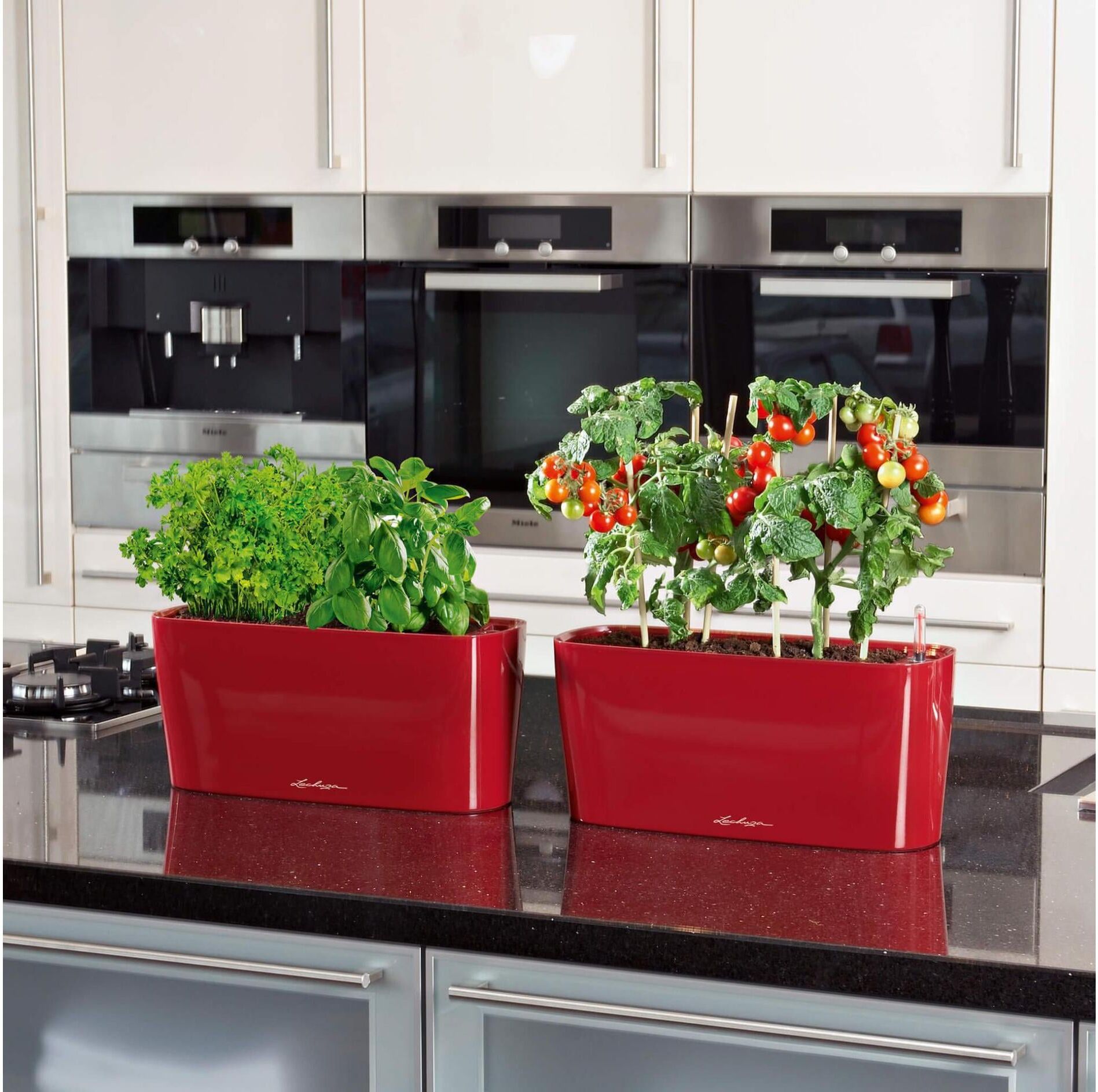 Blumentopf "Lechuza Delta 20", rot, Pflanzgefässe, Blumentopf rot Einheitsgröße